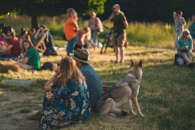 Para siedząca na trawie w parku z psem, obróceni tyłem