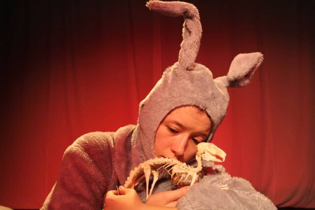 Kobieta przebrana za królika przytula mały szkielet dinozaura