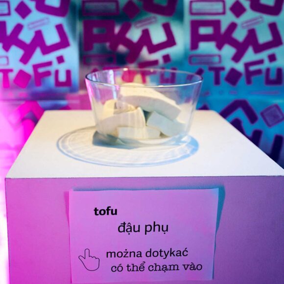 TOFU DAY | Dzień Tofu w&nbsp;Centrum Dialogu